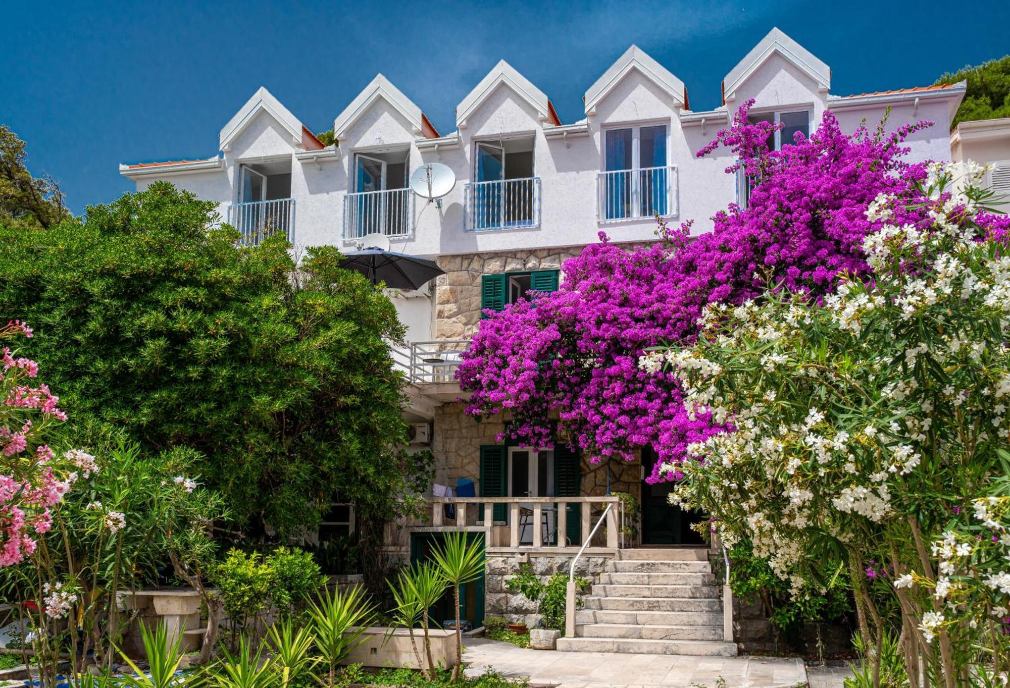 Aurora Beachfront Luxury Rooms&Suites Brela Exteriör bild